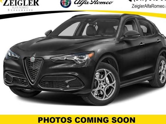 ALFA ROMEO STELVIO 2024 ZASPAKBN3R7D89437 image